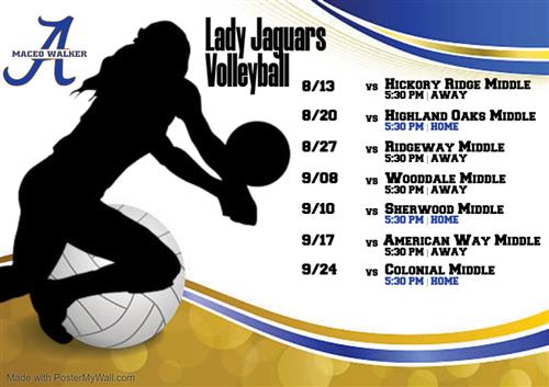 Volleyball 2025 Schedule